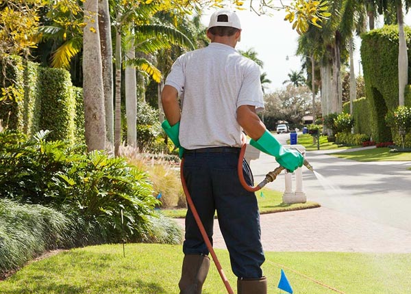 About Minnetonka Beach MN Pest Control Pros